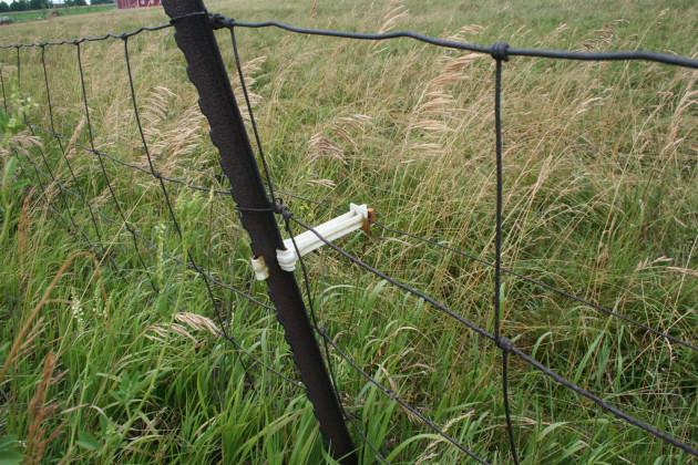 Detail of electric fence
