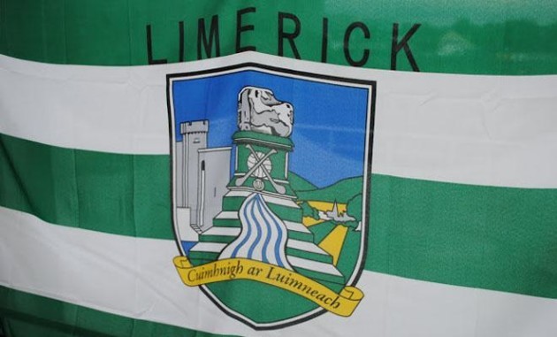 ireland-limerick-flag-660px