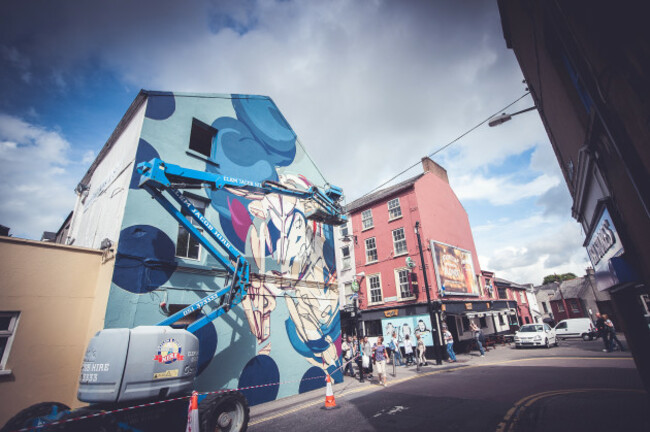 Waterford Walls Festival - 2015