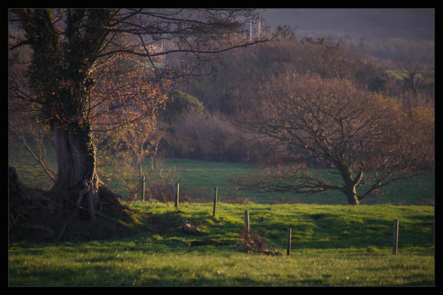 irish countryside