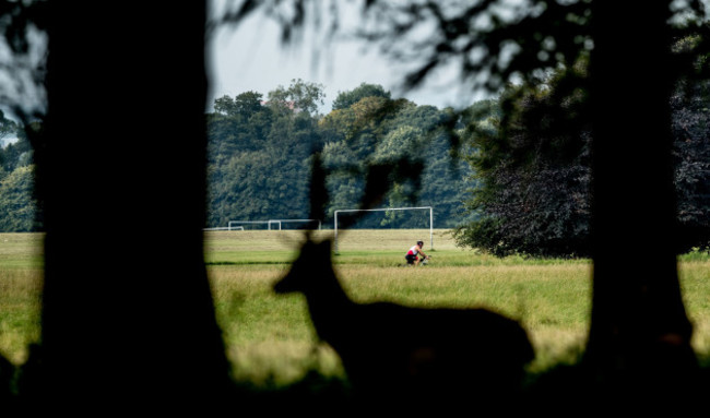 A view of today's race as competitors make through the Phoenix Park