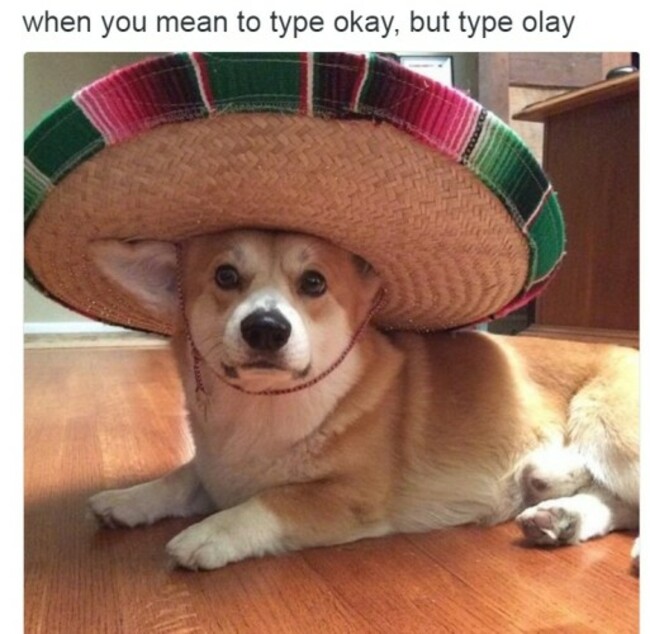 olay