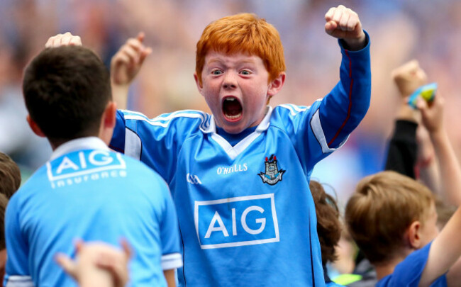 Dublin fans Luke Feely