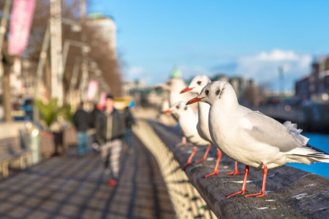 shutterstock_354482372