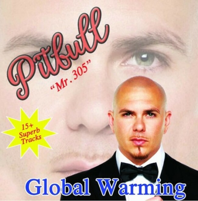 pitbull