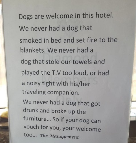 hoteldog