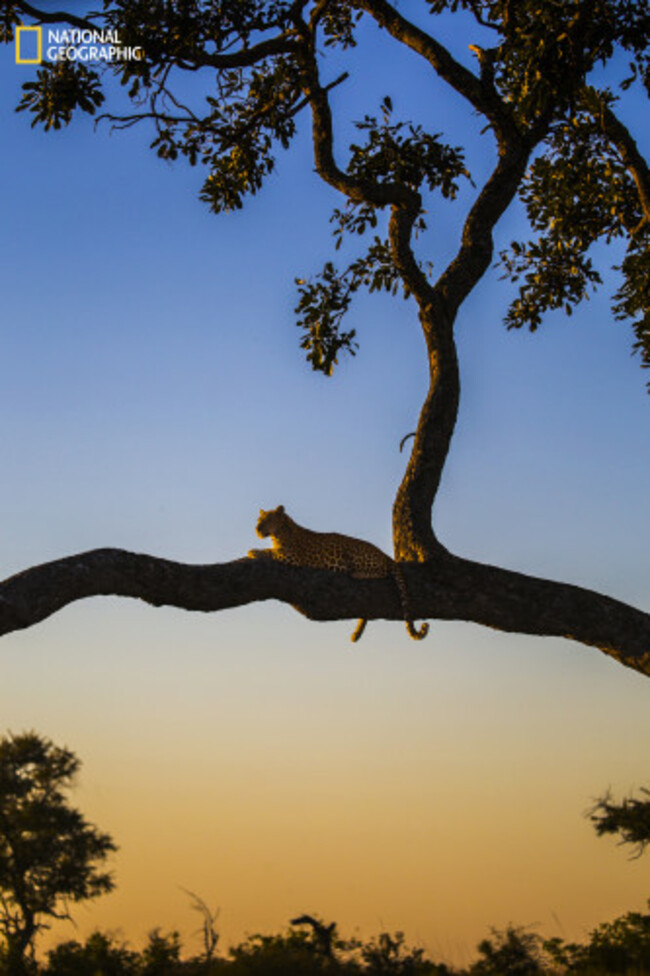 The best spot on the savannah