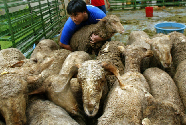 SINGAPORE HARI RAYA HAJI