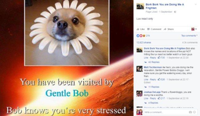 borkbork