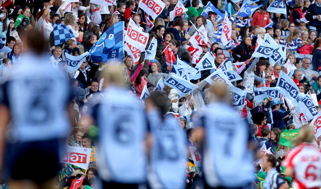 General view of fans with TG4 flags