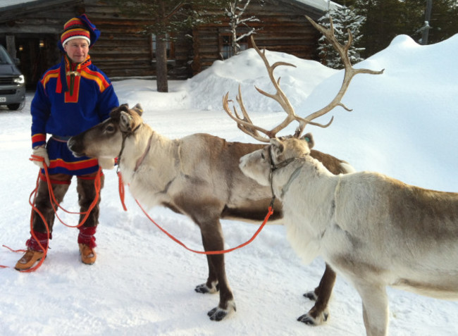 Finland Reindeer Facts