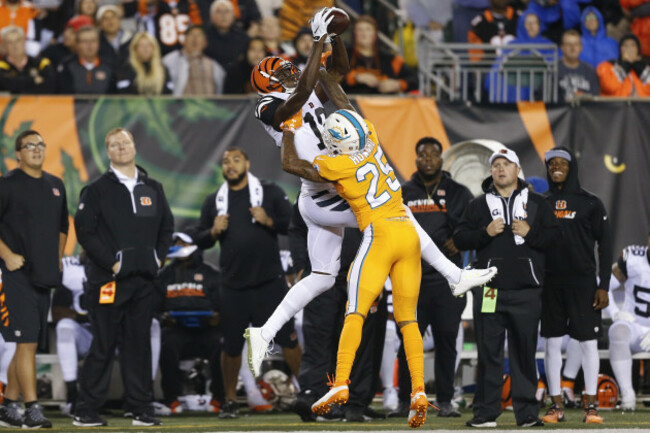 Dolphins Bengals Football