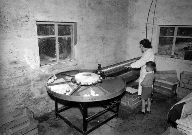 egg-sorting_sept-12th-1956
