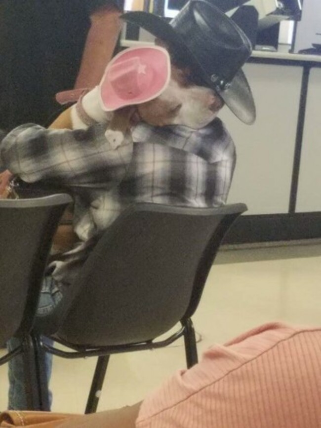 FrSaSGk