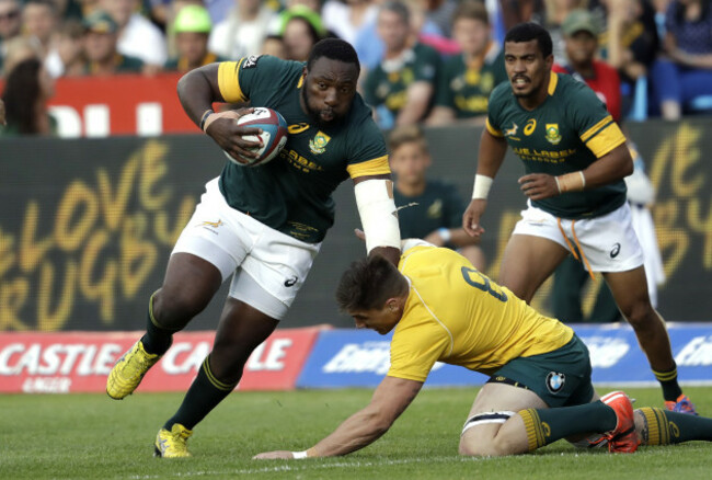 South Africa Australia Rugby