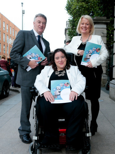 Irish Wheelchair Association Budget Submission 3