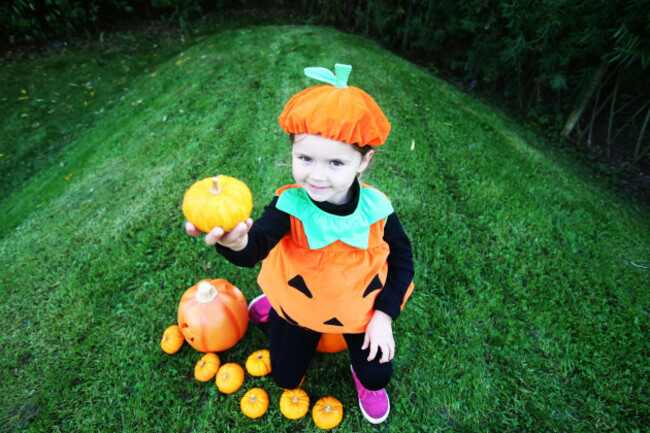 Tayto Park After Dark. Pic
