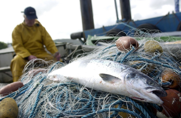 Salmon fishing season - Day 1