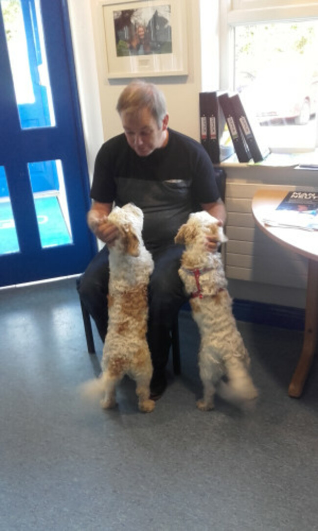 Joey the cavachon dog is reunited with his brother and owner