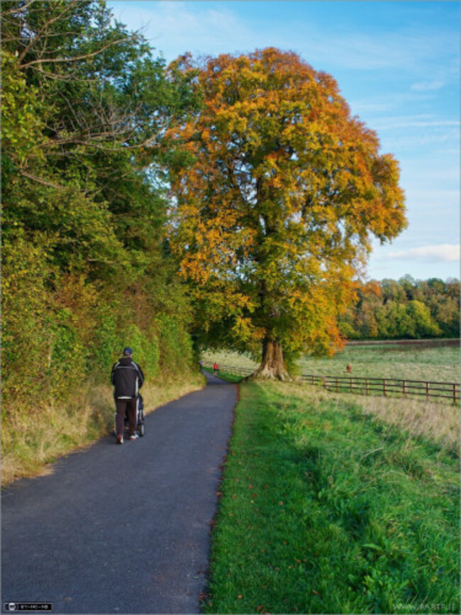 An Autumn Evening in St. Catherine's Park