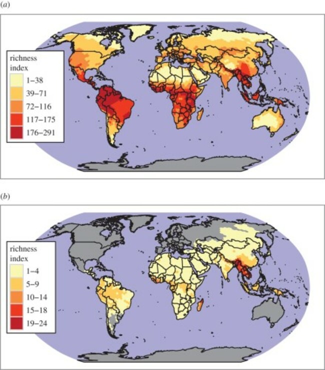 Species richness