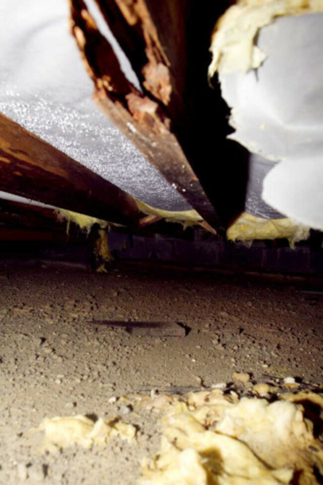 joist rotting away underneath floor boards