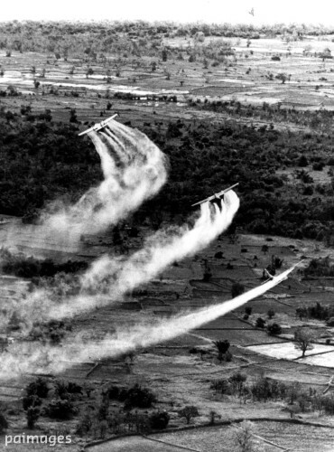 The Us Is Helping To Clean Up Agent Orange Residue 50 Years Since The Vietnam War