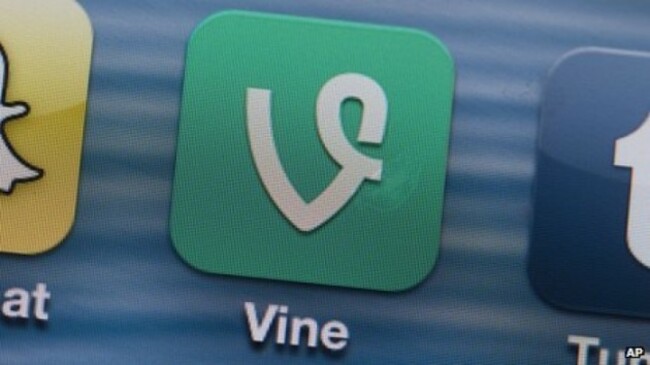 vine