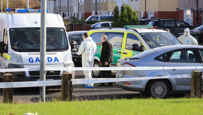 1/11/2016 Bonfire Death. Garda technical bureau me