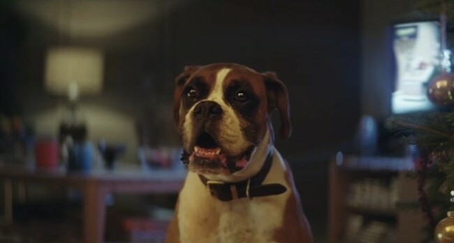 buster