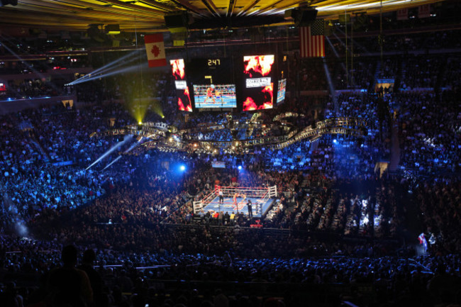 Cotto Margarito Boxing