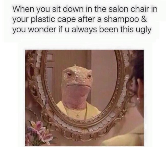when-you-sit-down-in-the-salon-chair-in-your-plastic-cape-after-a-shampoo-you-wonder-if-u-always-been-this-ugly-1445729535