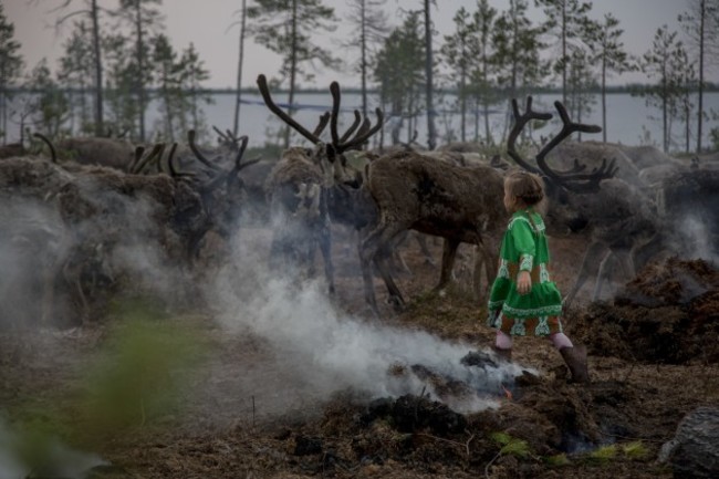 Russia Reducing Reindeer