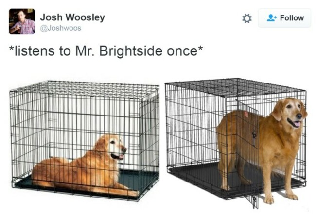 mrbrightside