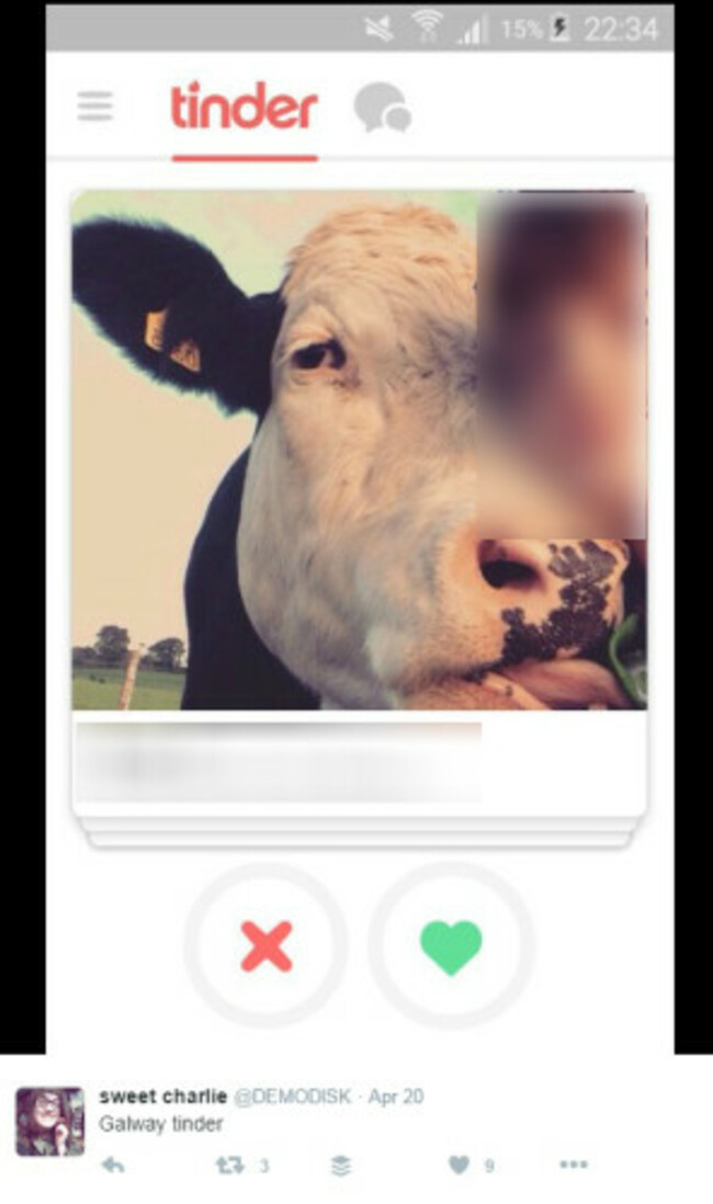 galwaytinder