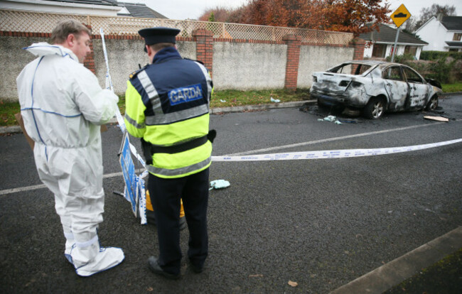 Dublin park shooting