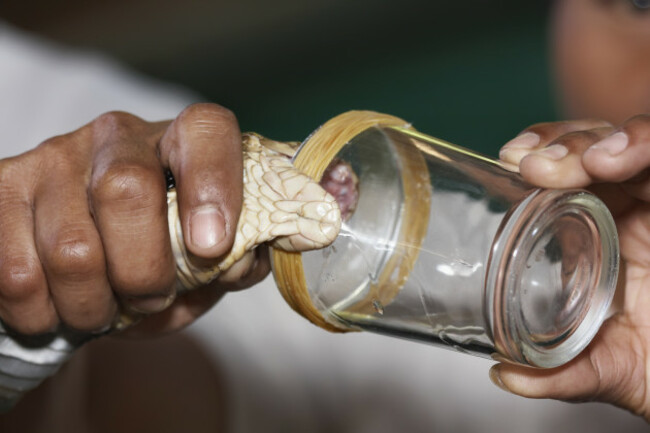 shutterstock_44440435