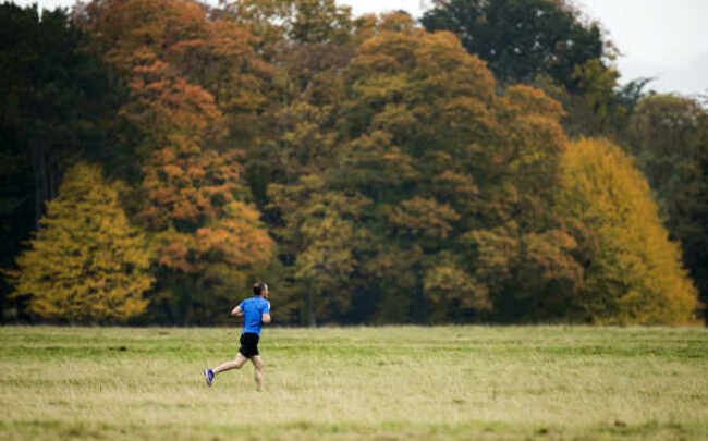 Phoenix Park