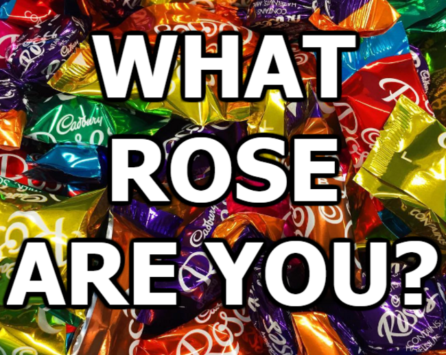 cadburyroses