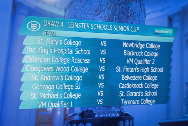 A view of the Bank of Ireland Leinster Schools Senior Cup