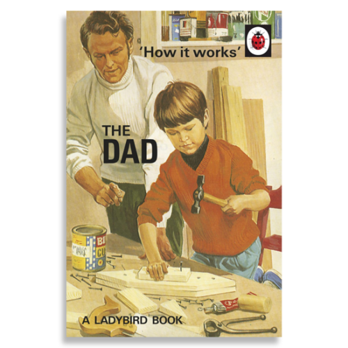 ladybird-the-dad-funny-novelty-book-