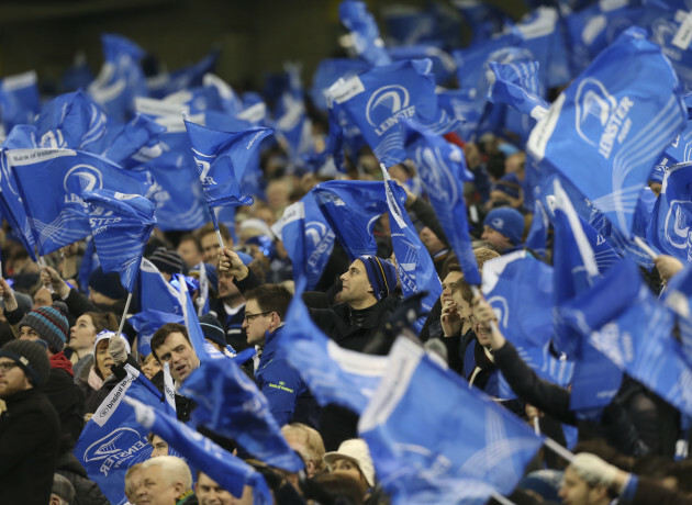 Leinster fans celebrate