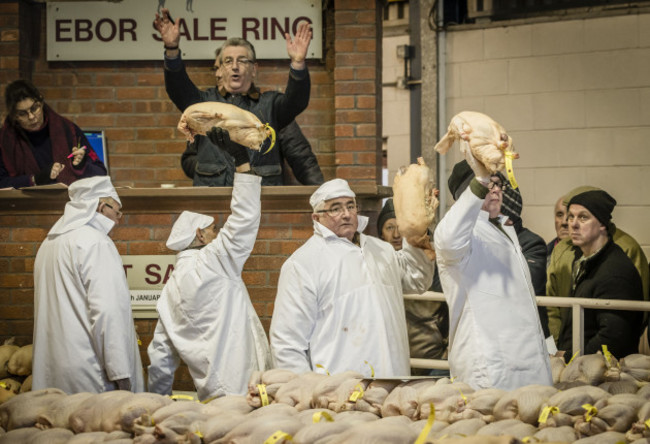 Poultry Christmas Poultry Sale