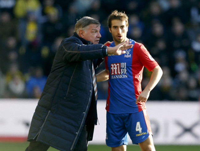 Watford v Crystal Palace - Premier League - Vicarage Road