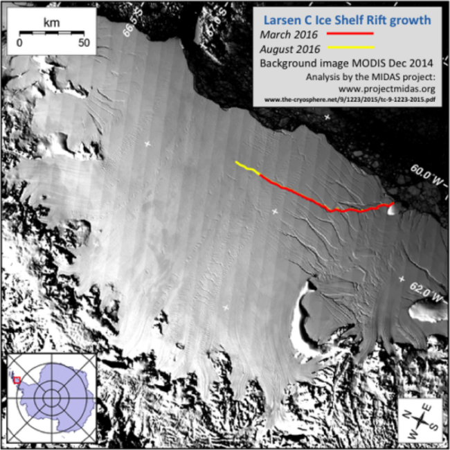 Larsen C