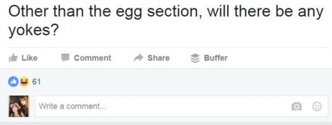 egg