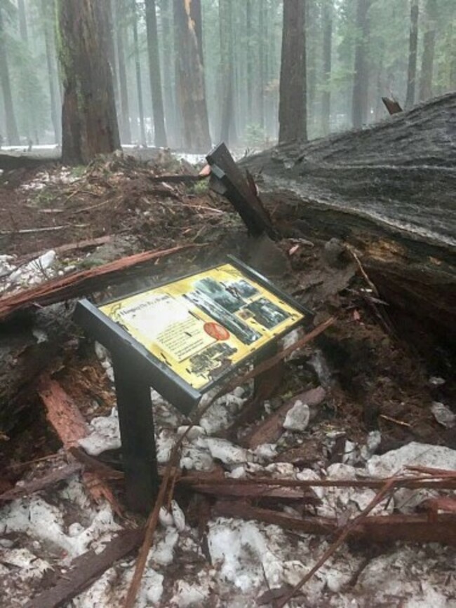 15875255_10154814677845135_678109952407852569_o