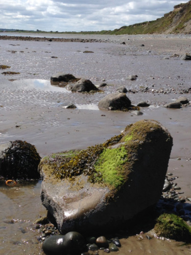 Hearing Voices (Image 6)