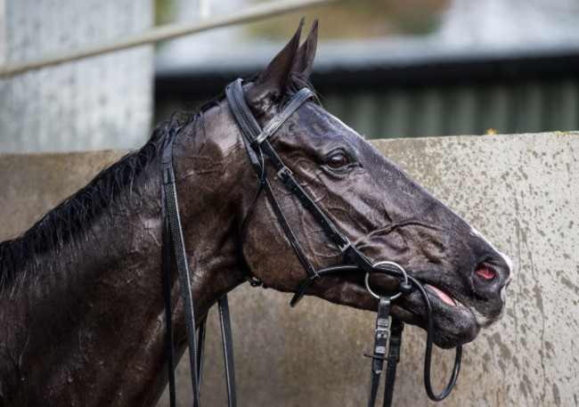 Don Cossack