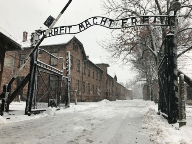 Auschwitz visitor numbers